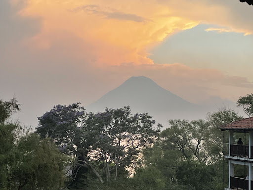 Photo from customer review