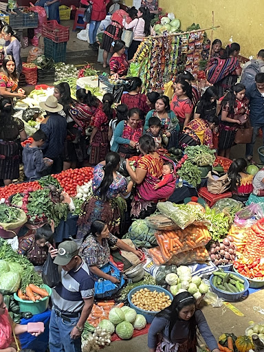 Photo from customer review