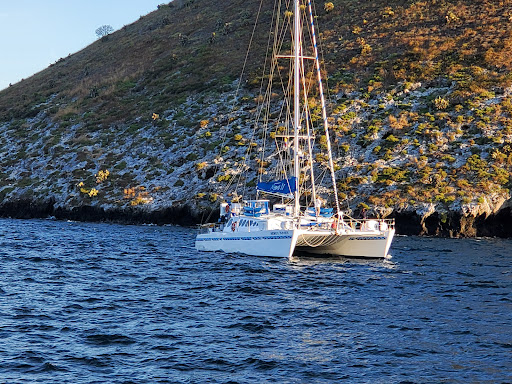 Photo from customer review